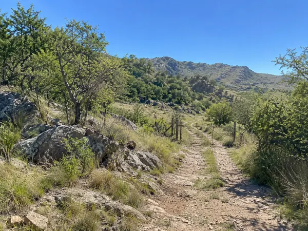 Lote serrano con monte nativo y camino de tierra en Punilla